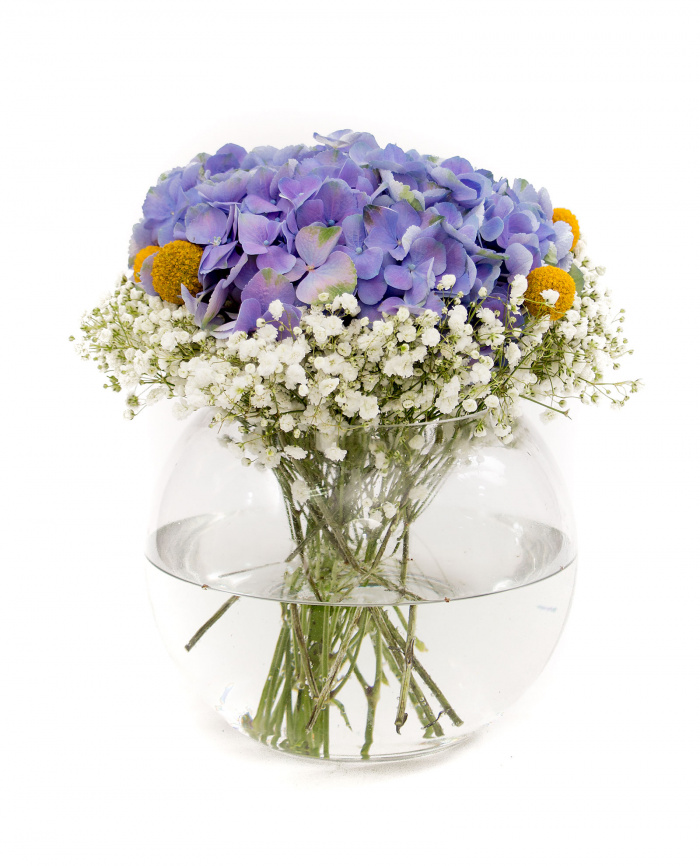 Hortensii albastre, gypsophila si craspedia – imaginea 2