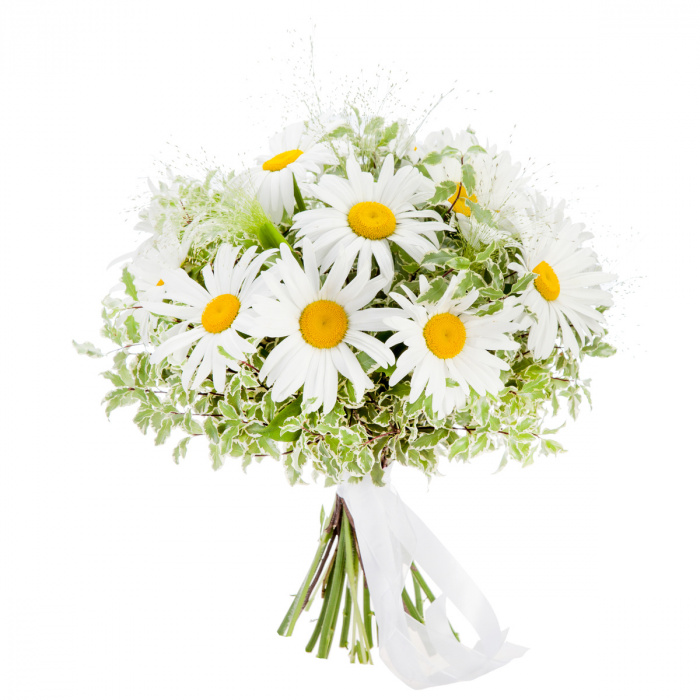Buchet margarete albe – imaginea 1
