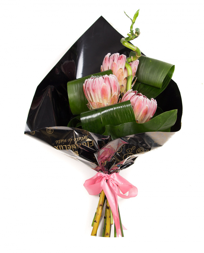 Protea si bambus – imaginea 2