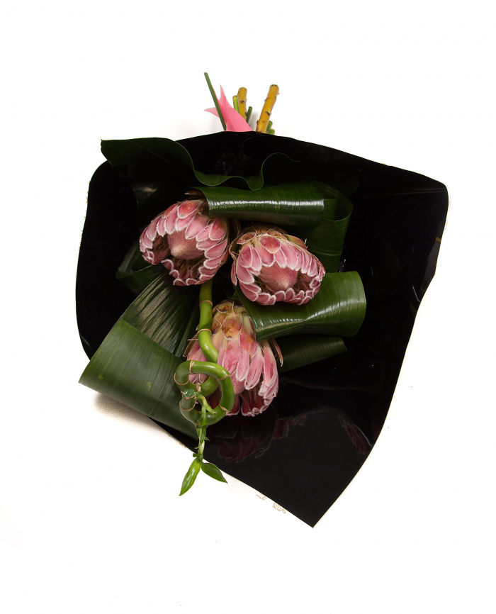 Protea si bambus – imaginea 3