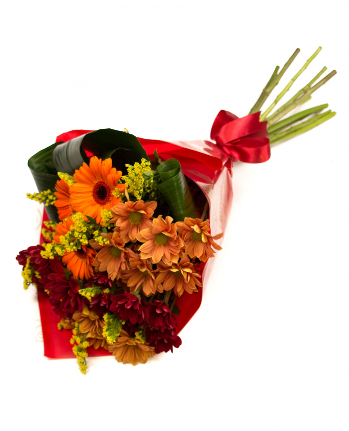 Crizanteme si gerbera – imaginea 1