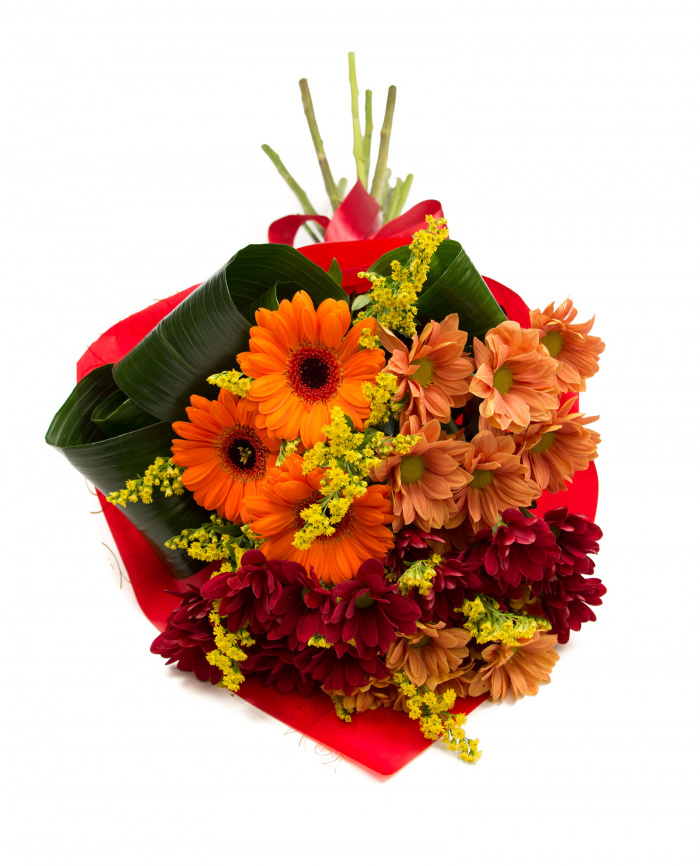 Crizanteme si gerbera – imaginea 2