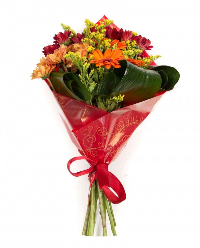 Crizanteme si gerbera – imaginea 3