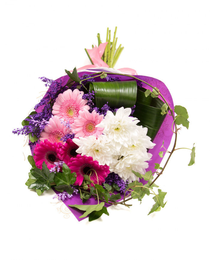 Crizanteme, gerbera si iedera – imaginea 3