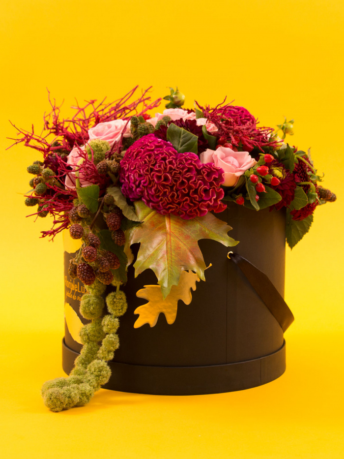 Cutie celosia cyclam, trandafiri si dahlii