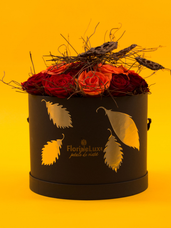 Cutie mix trandafiri si decoratiuni uscate – imaginea 1