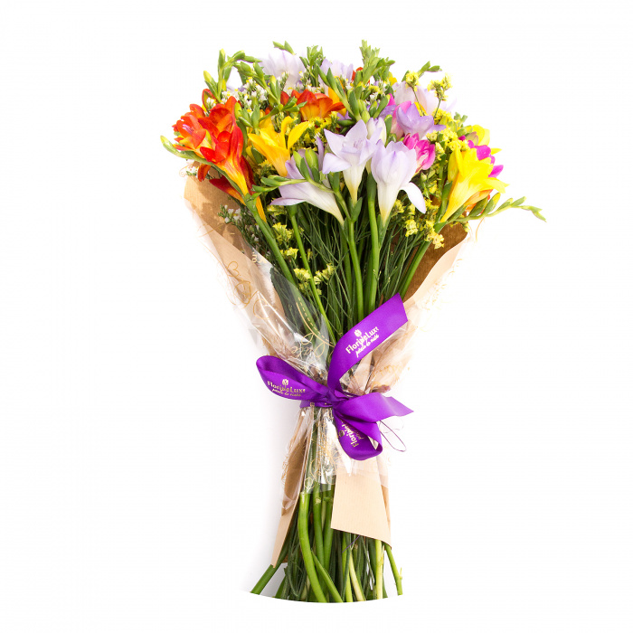 27 frezii multicolore – imaginea 1