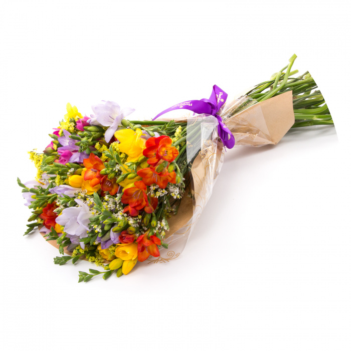 Buchet cu 39 frezii multicolore – imaginea 1