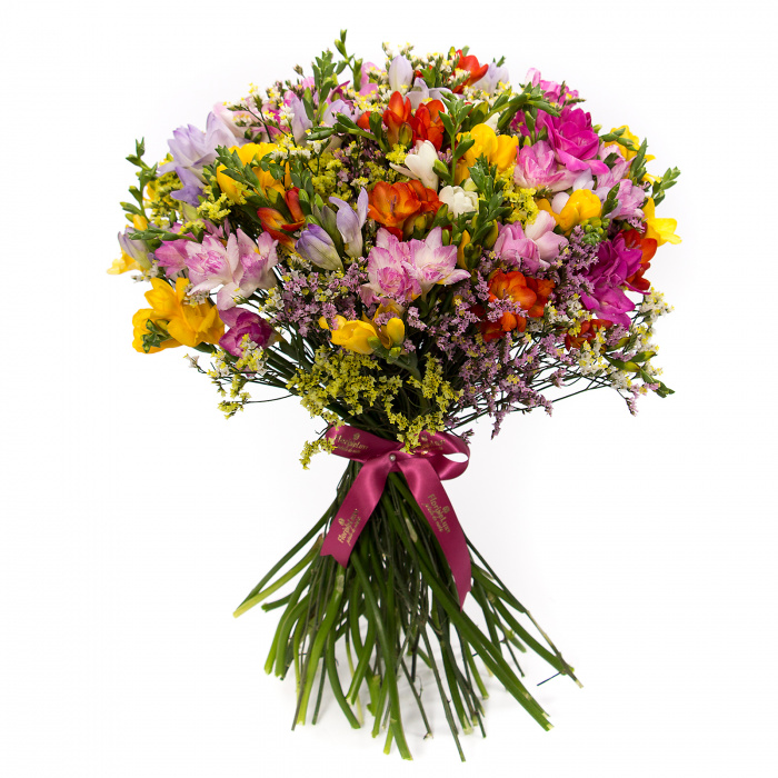 Buchet 37 frezii – imaginea 1