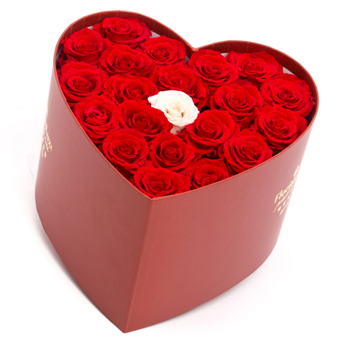Trandafiri FOREVER LOVE