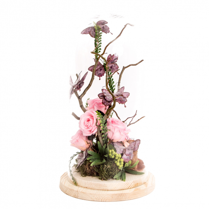 Peisaj diafan cupola flori criogenate