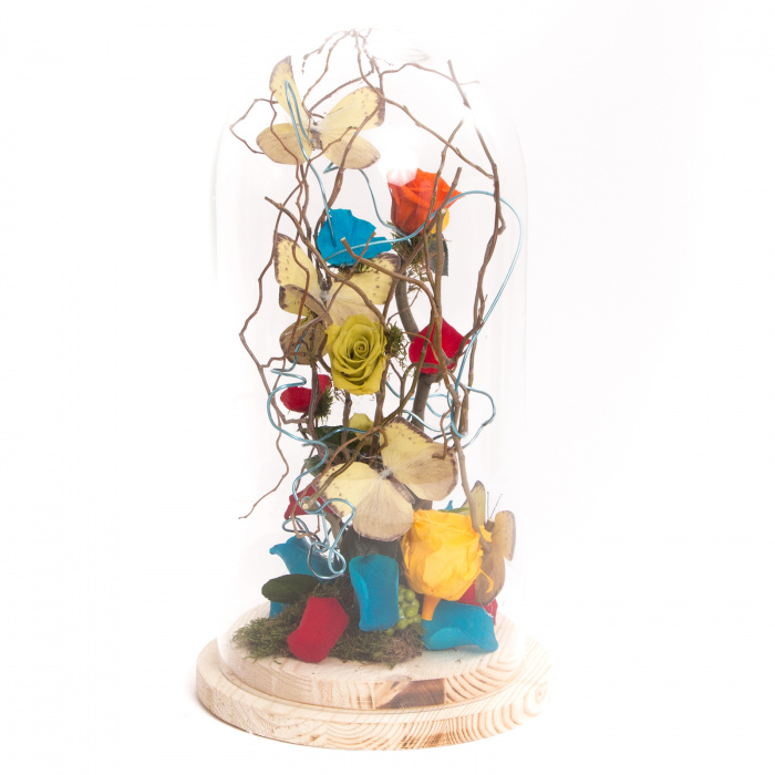 Cupola trandafiri criogenati multicolori – imaginea 1