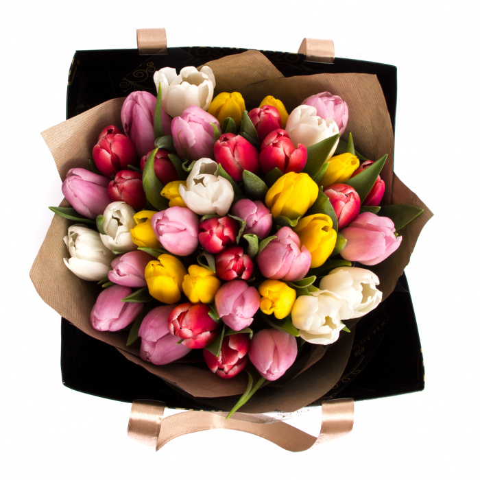 Lalele eleganta absoluta si sampanie