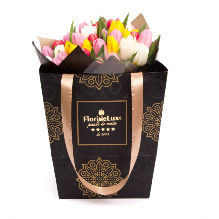 Lalele eleganta absoluta si sampanie