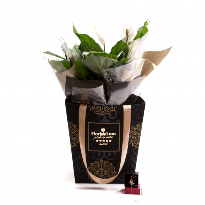 Crinul pacii si martisor fluture