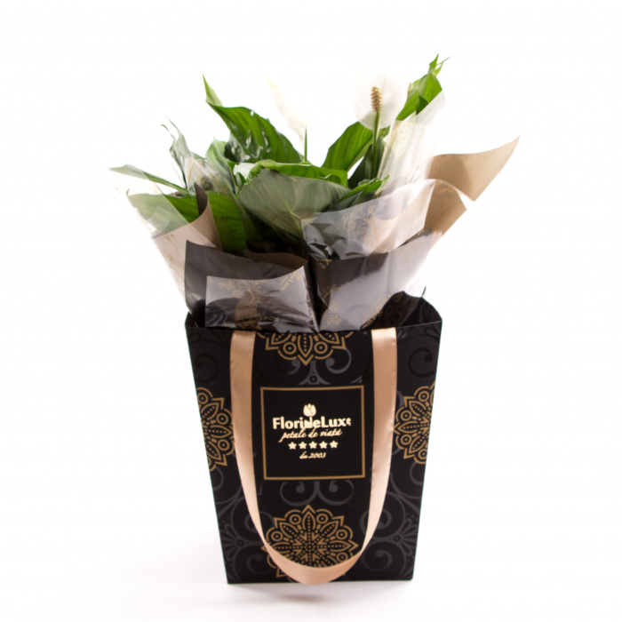 Crinul pacii si martisor fluture