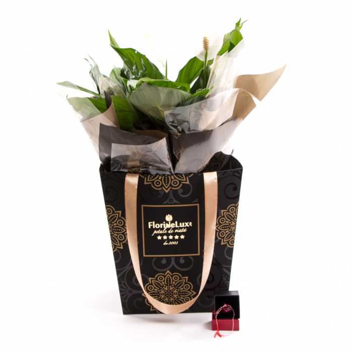 Crinul pacii si martisor inima – imaginea 1