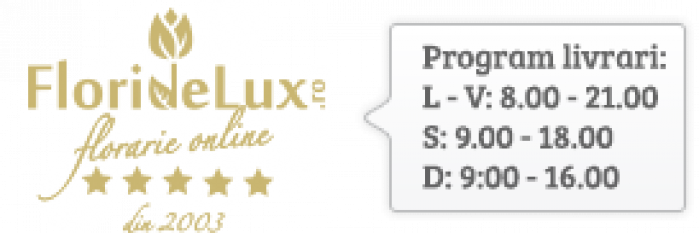 Buchet 15 lalele in umbrela – imaginea 2