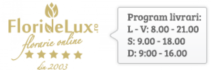 21 25 lalele mix in punga alba – imaginea 1