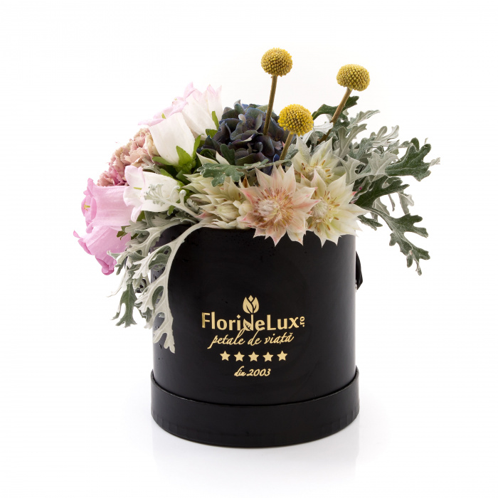 Cutie de lux Midnight Lady