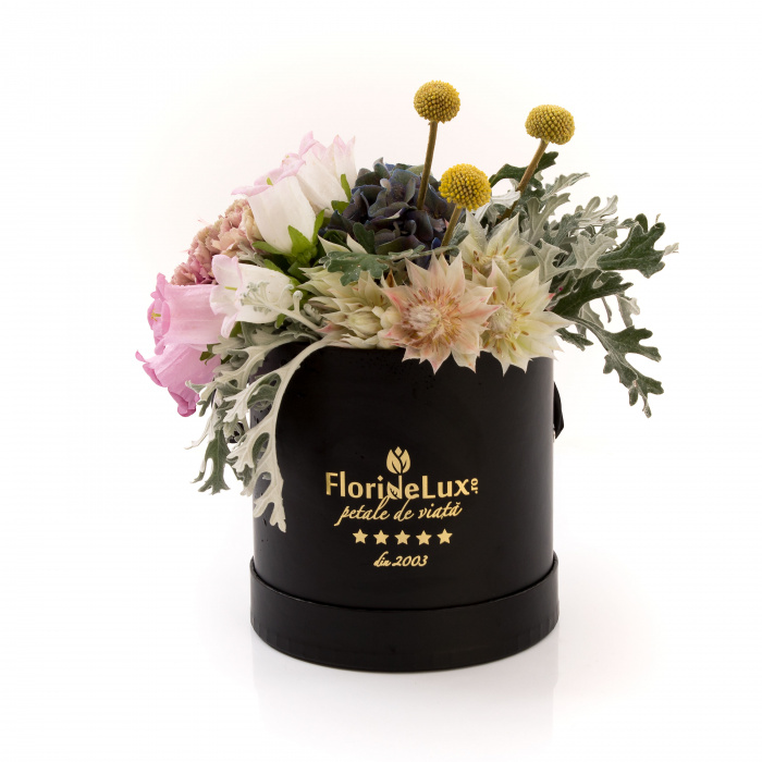 Cutie de lux Midnight Lady