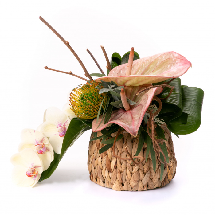Natura la birou – imaginea 1