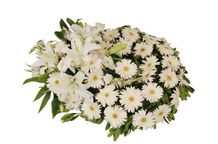Jerba crini albi, gerbera si crizanteme