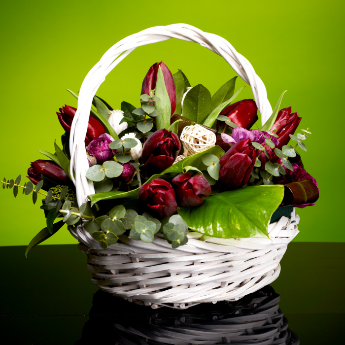 Lalele burgundy cadou martie – imaginea 1