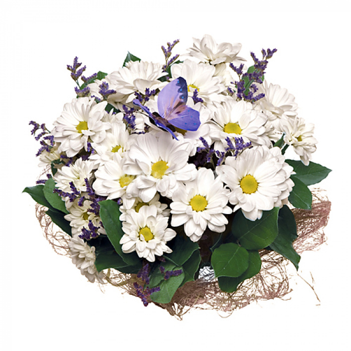 Buchet crizanteme - Back to school – imaginea 1