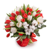 Buchet lalele Sarbatori fericite – Premium