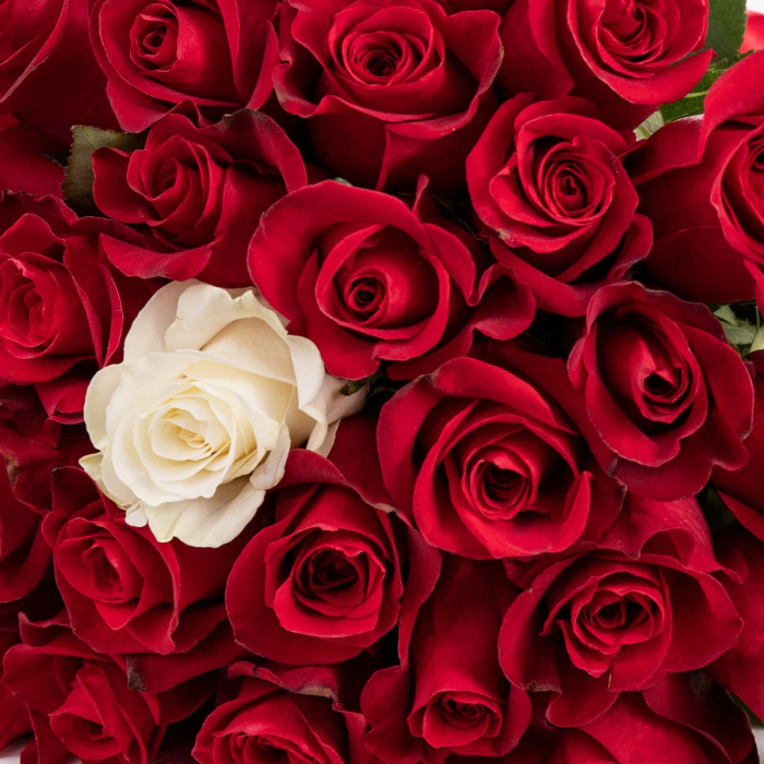 Buchet special de trandafiri – imaginea 2