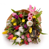 Buchet lalele magie multicolora – Premium