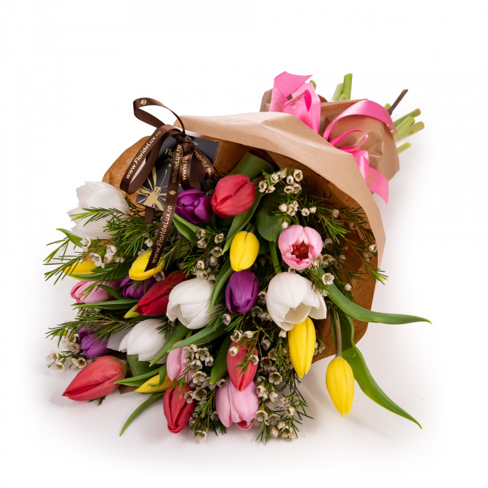 Buchet lalele magie multicolora – imaginea 1