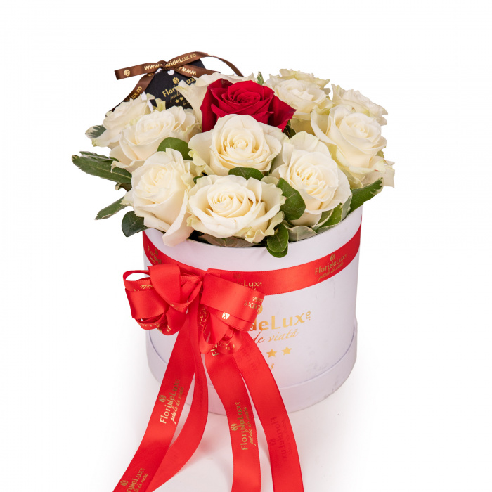 Cutie trandafiri One Red – imaginea 1