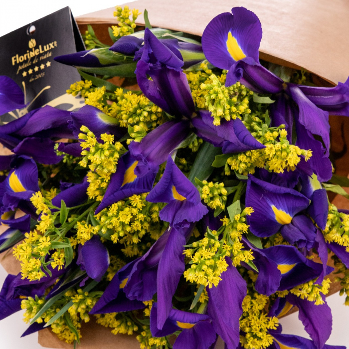 Buchet de flori cadou cu iris si solidago – imaginea 2