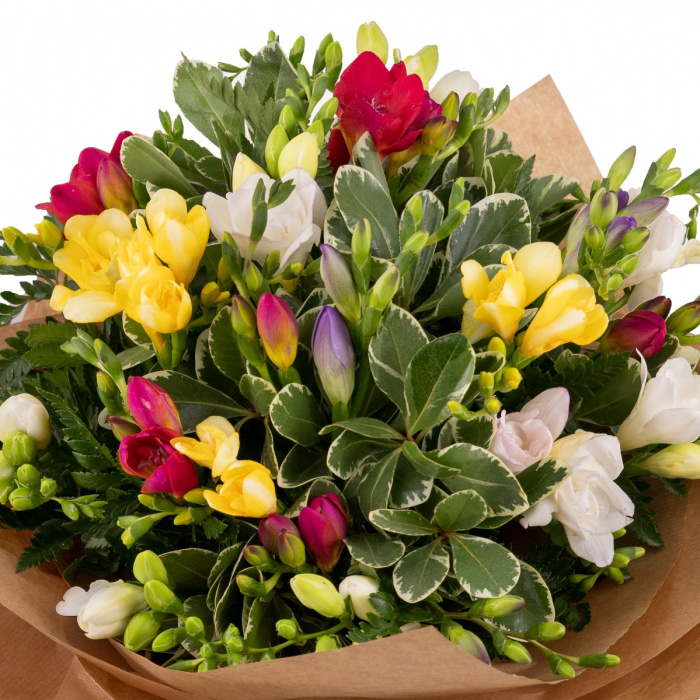 Buchet cu frezii The smell of Happiness – imaginea 2