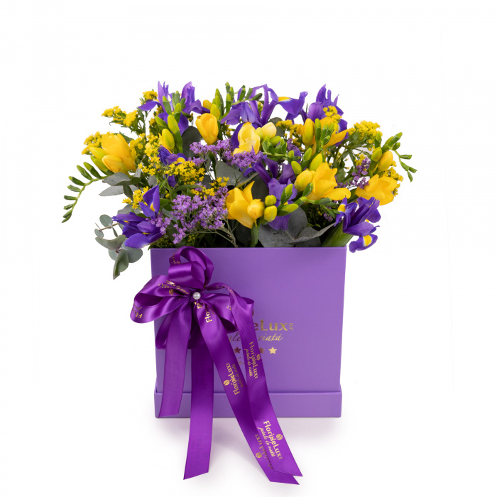 Cutie frezii si iris Purple Happiness – imaginea 1