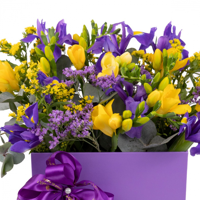 Cutie frezii si iris Purple Happiness – imaginea 2