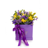 Cutie frezii si iris Purple Happiness – Standard