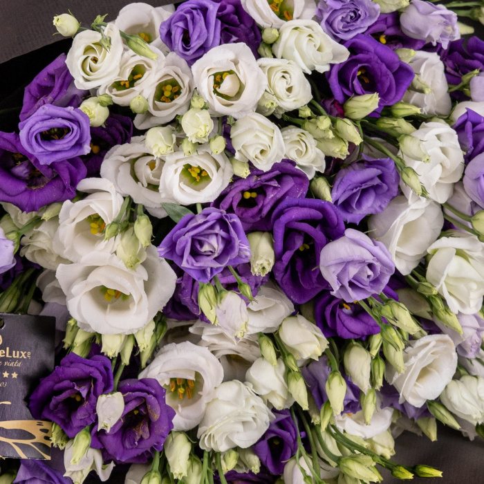 Buchet cu lisianthus alb si mov – imaginea 2