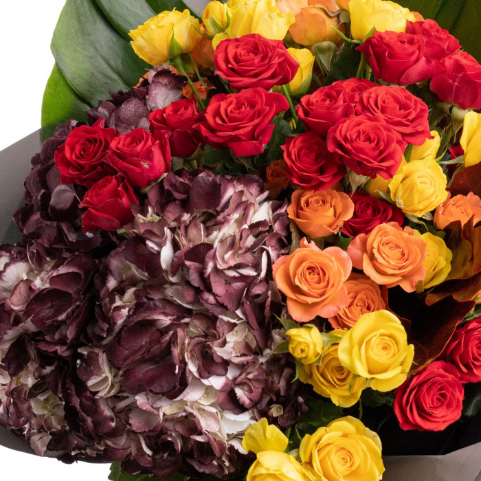 Buchet trandafiri rosii, galbeni, portocalii si hortensii – imaginea 3