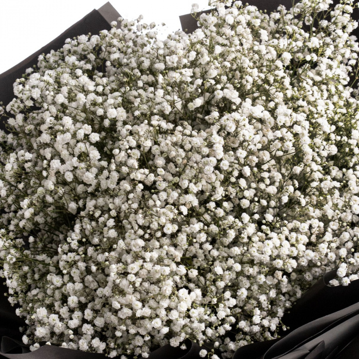 Buchet de Gypsophila Special Love – imaginea 3