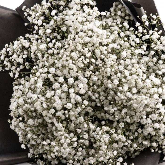 Buchet de Gypsophila Special Love – imaginea 4