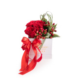 Cutie trandafiri Affection – Standard
