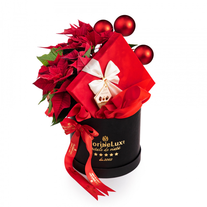 Aranjament floral Craciunita si ciocolata – imaginea 1