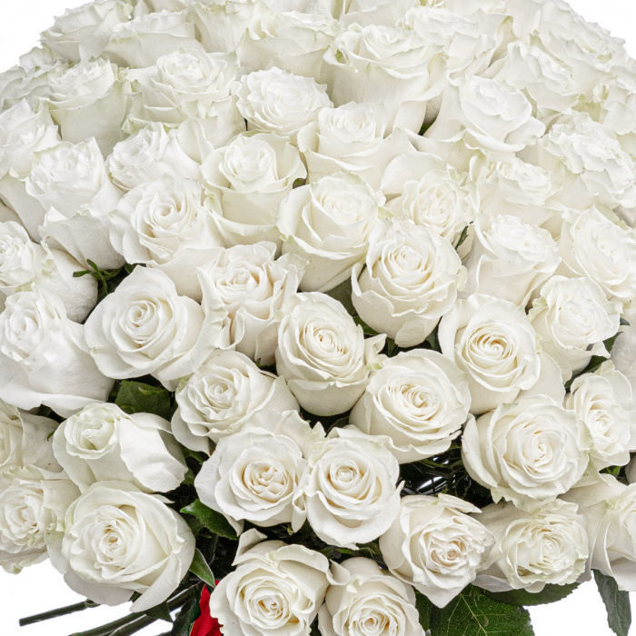 Buchet 101 trandafiri albi – imaginea 2