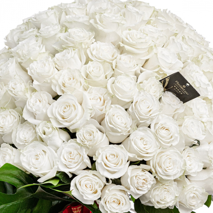 Buchet 101 trandafiri albi Temptation – imaginea 2