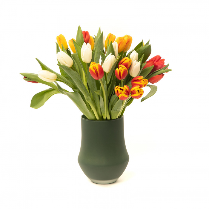 Flori pentru acasa - kit SPRING