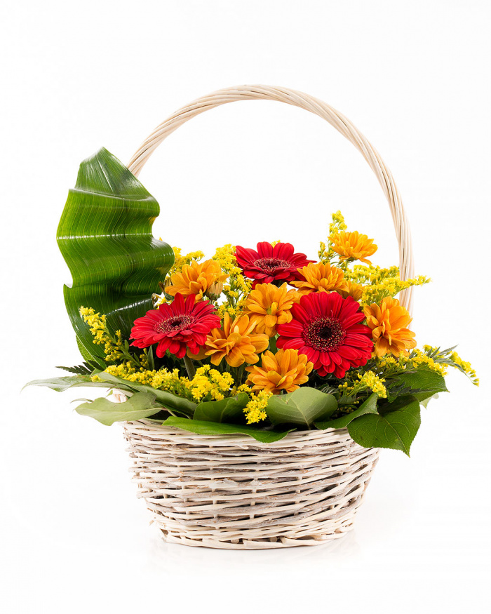 Cos cu gerbera si crizanteme – imaginea 1