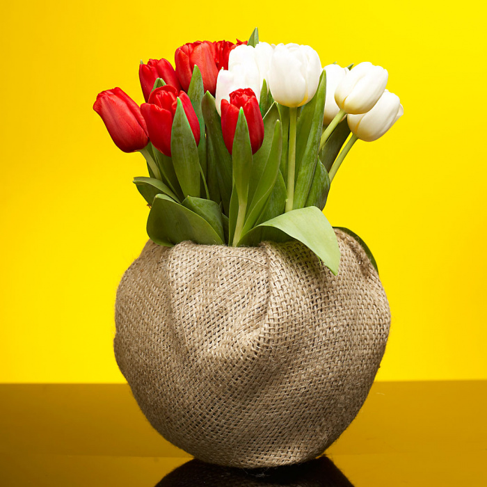 Un sac de lalele – imaginea 1